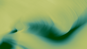 Eco-Friendly Practices Zanzibar