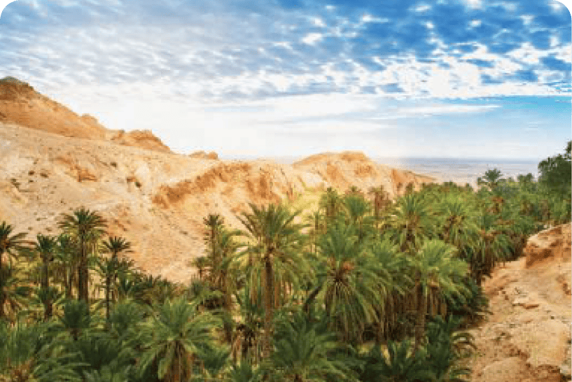 junior-suite-garden.jpg(8)