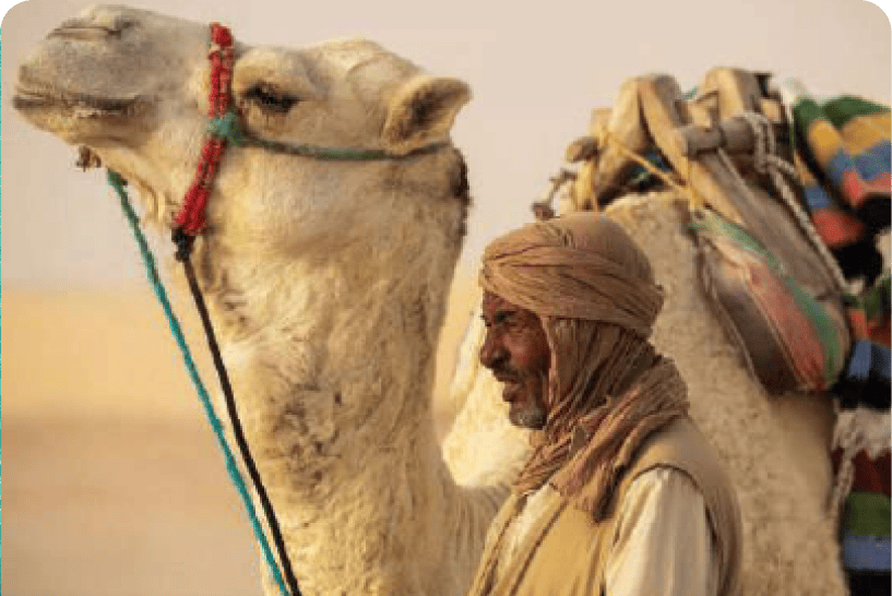 junior-suite-garden.jpg(9)