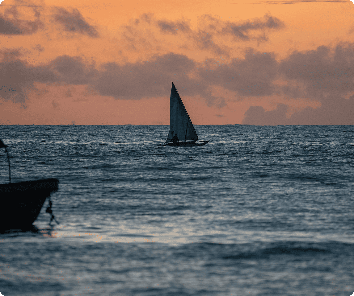 pexels-alexandre-saraiva-carniato-583650-2299698(3)